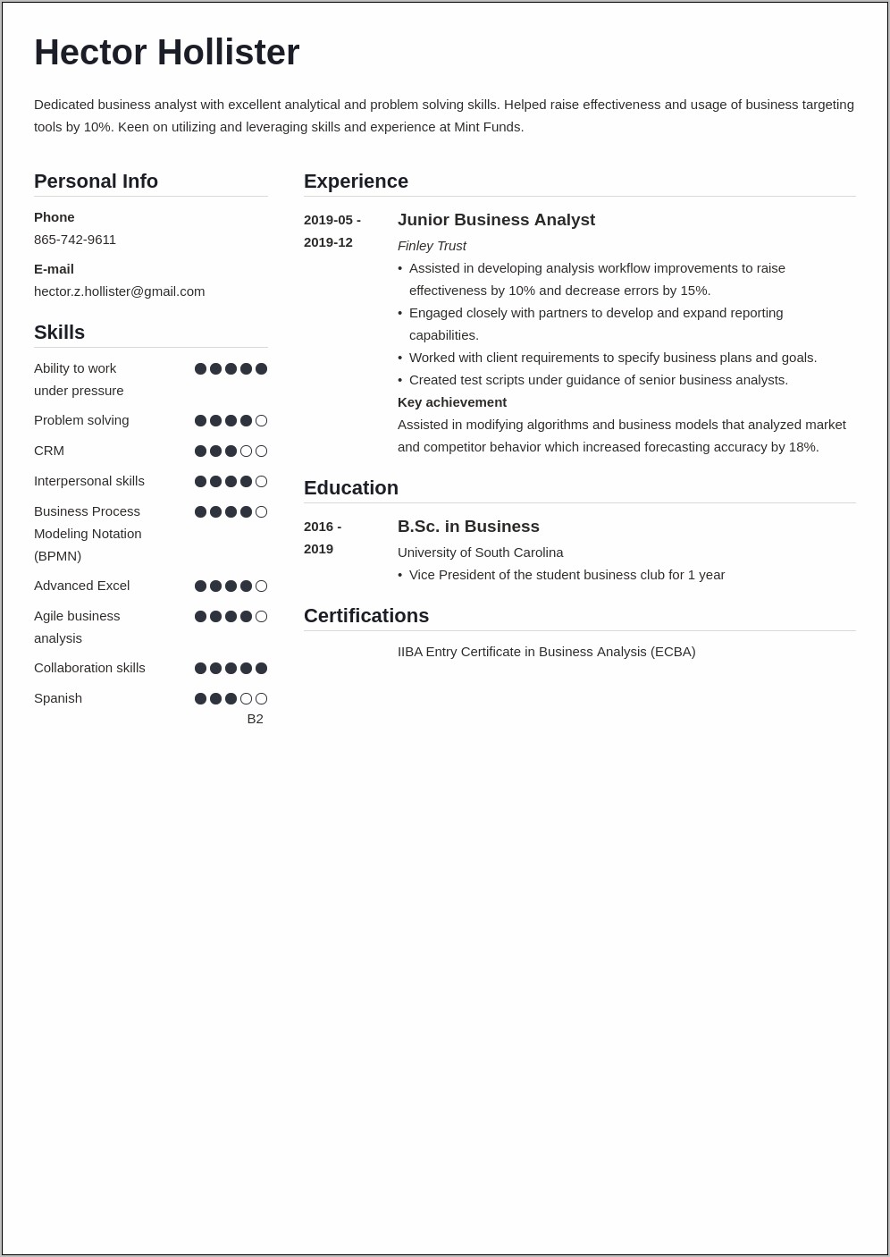 Business Process Analyst Job Description For Resume
