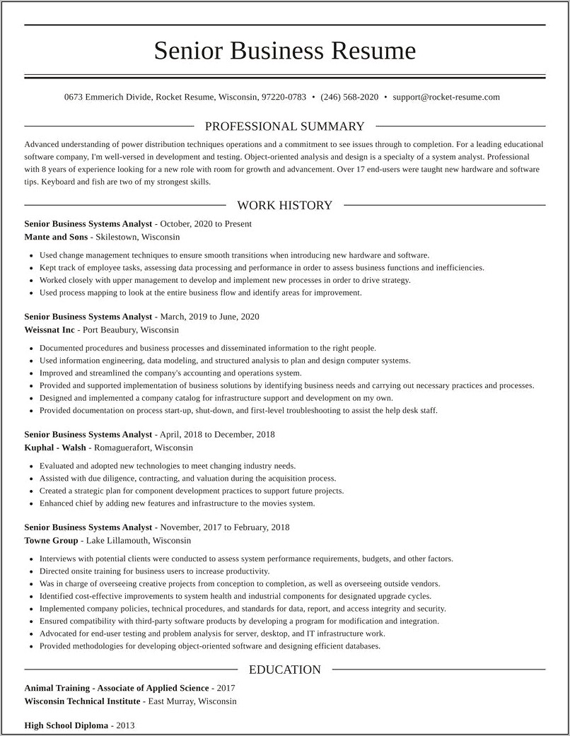 Business System Analyst Resume Examples