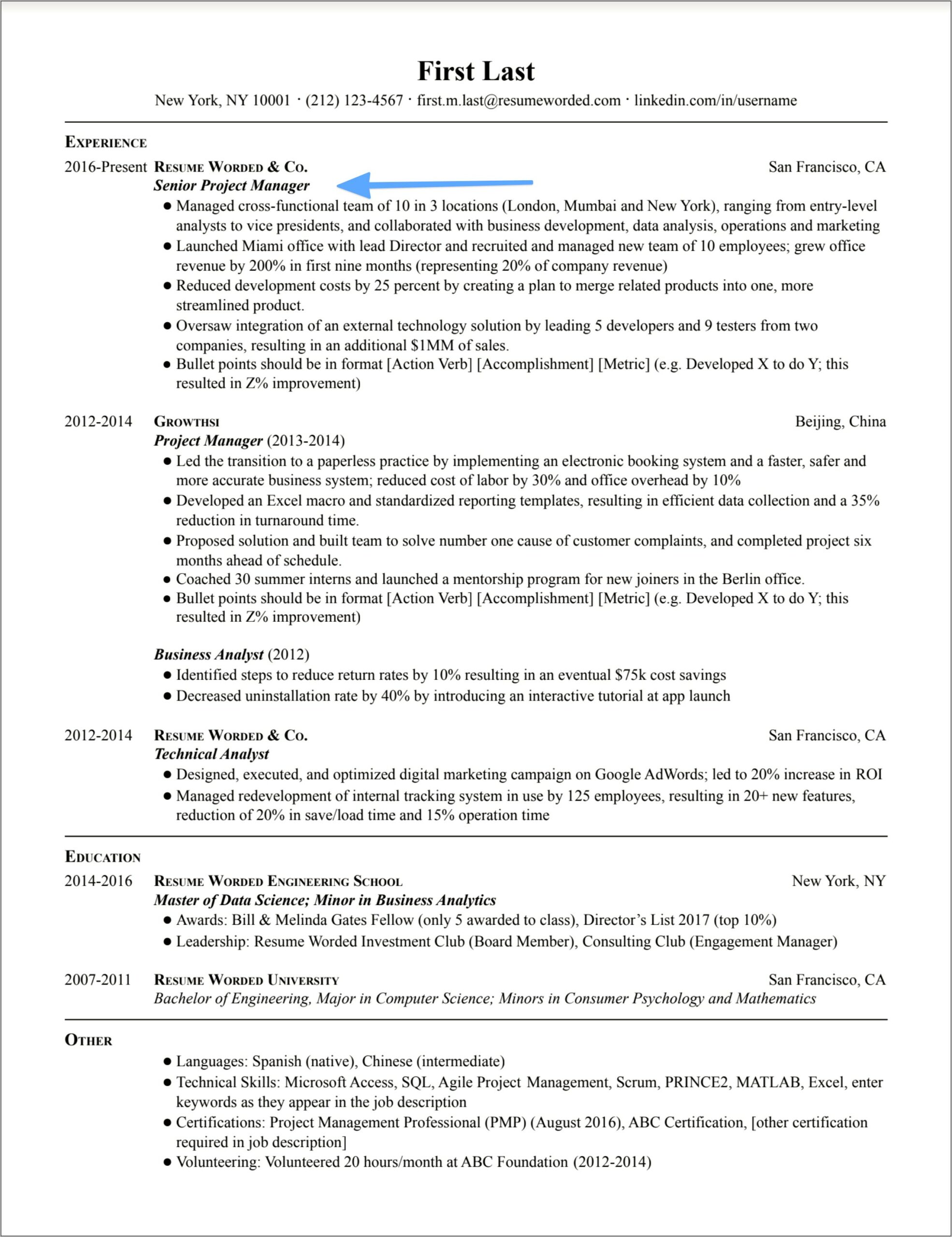 Career Objective For Resume For Project Leader