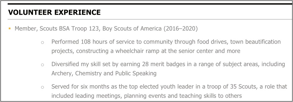 Cavalry Scout Job Description For Resume