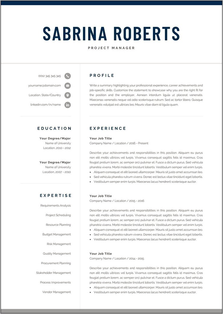 Ceo Executive One Page Resume Template