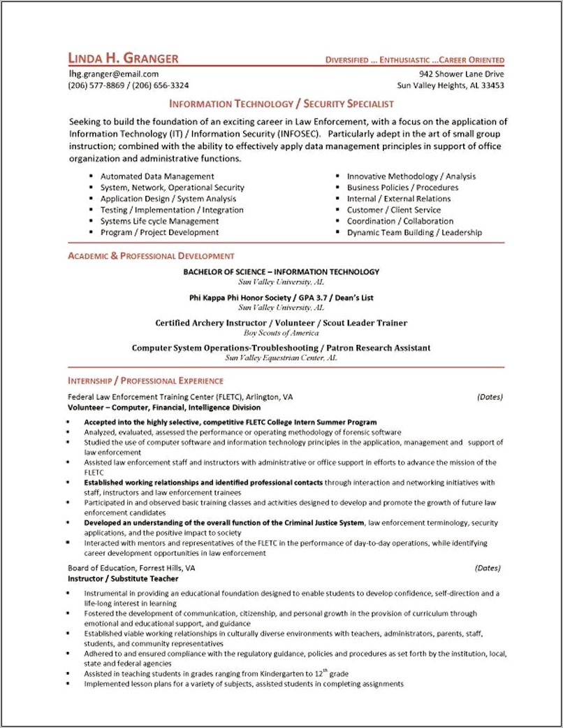 Chief Information Technology Officer Job Resume
