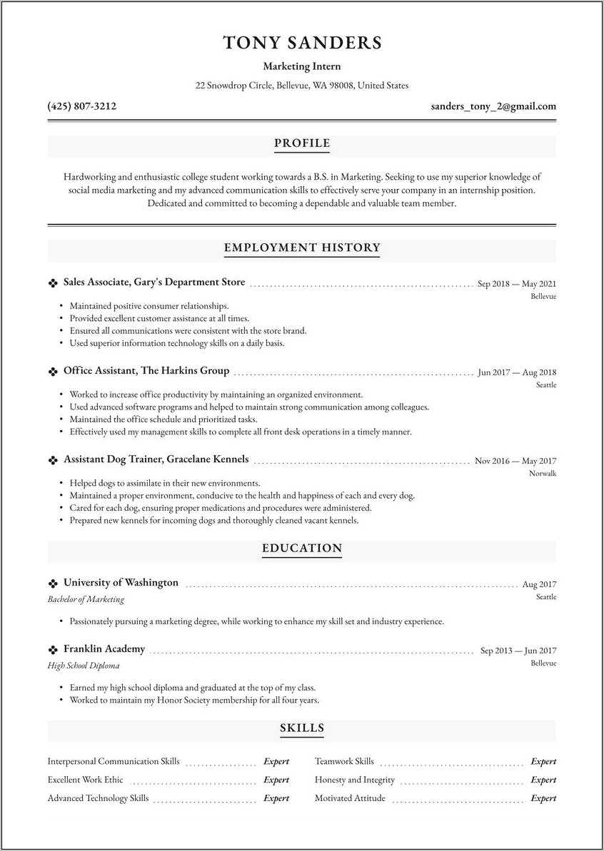 College Student Resume For Internship Examples