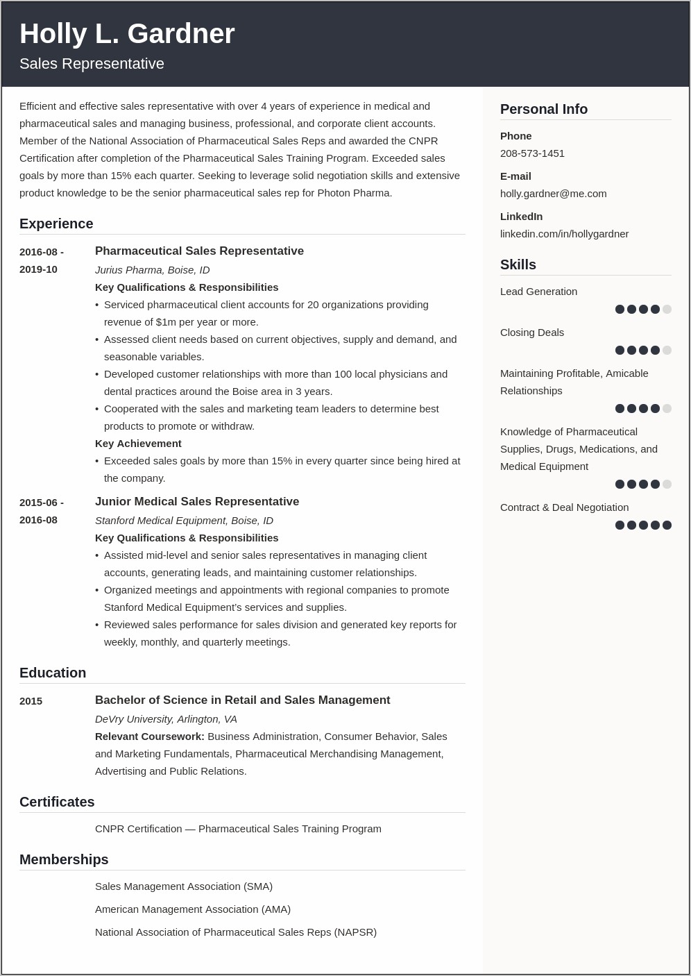 Combination Resume Sales Executive Examples 2019