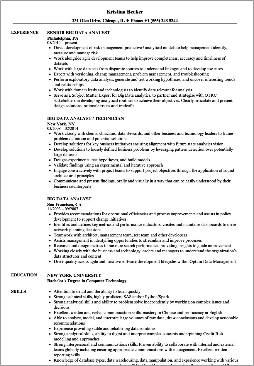 Combined Resume Format Examples Data Analyst