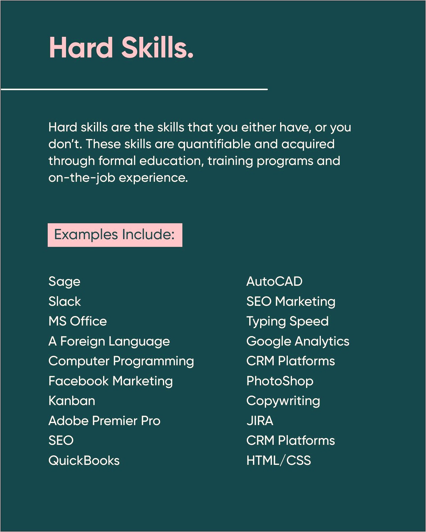 Computer And Soft Skills Resume Examples