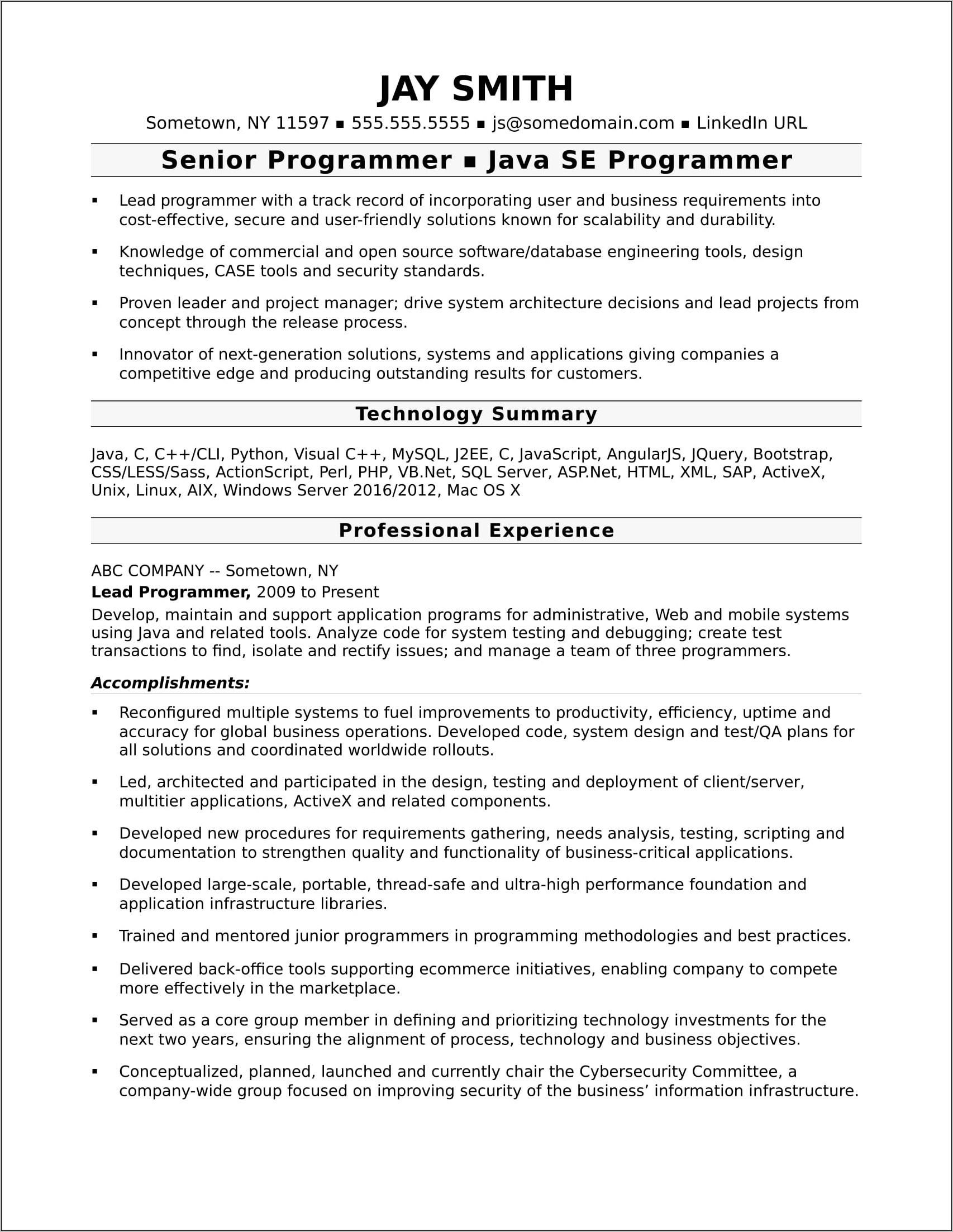 Computer Entry Level Programmer Sample Resume