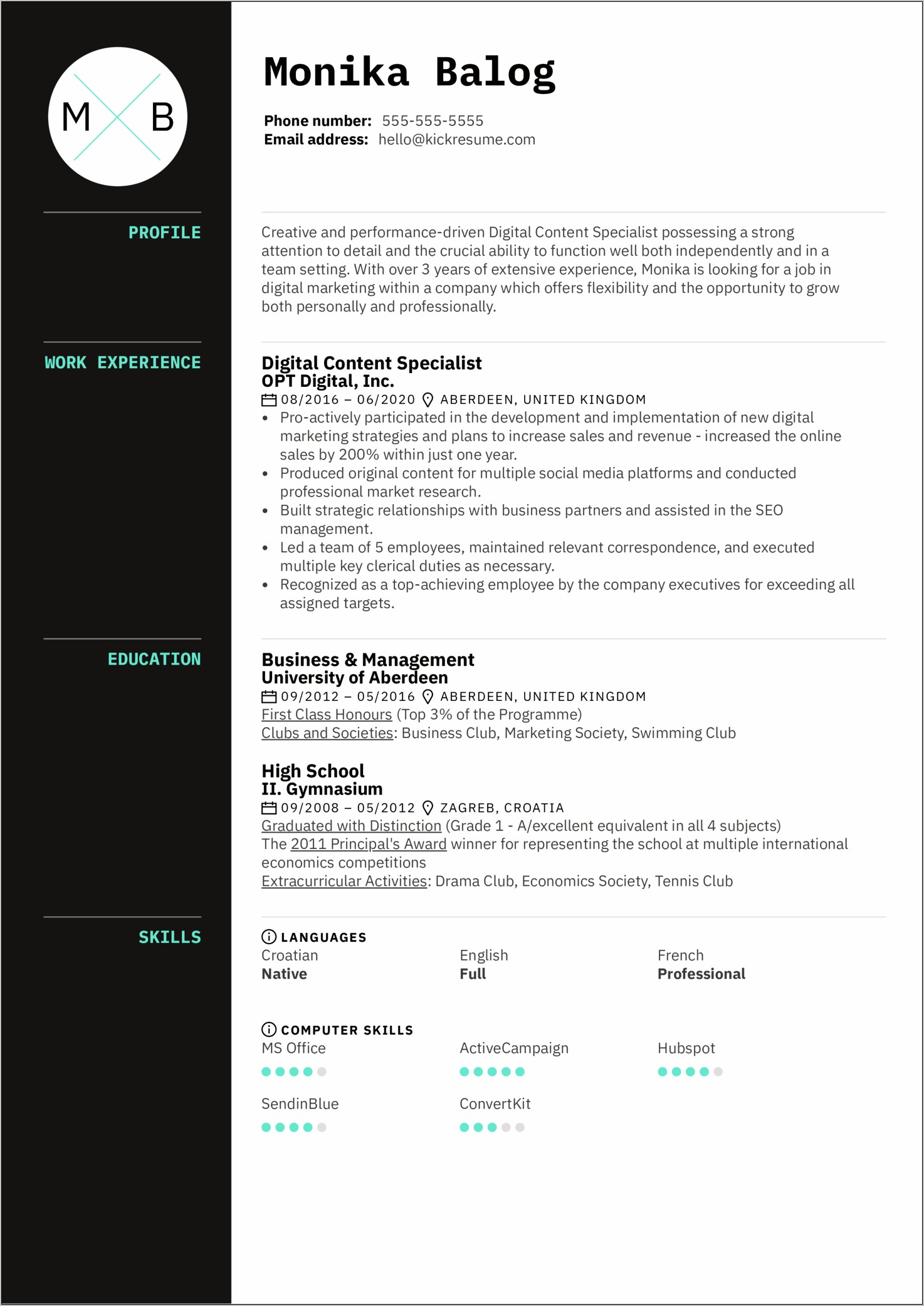 Copy And Paste Electronic Job Description In Resume