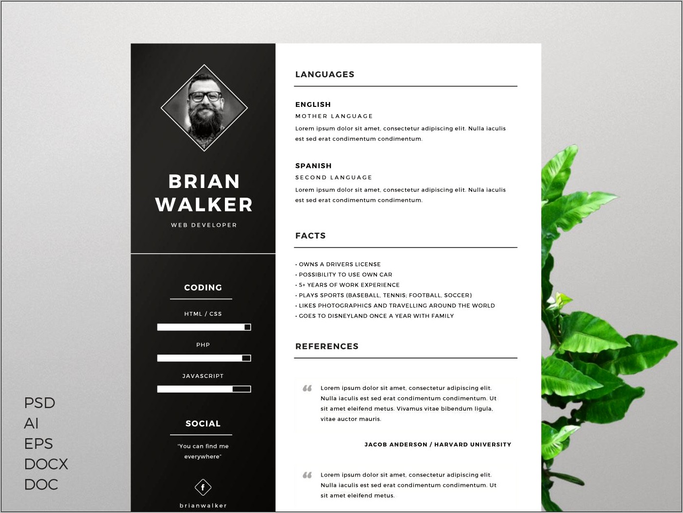 Core Functional Resume Template For Word Adobe