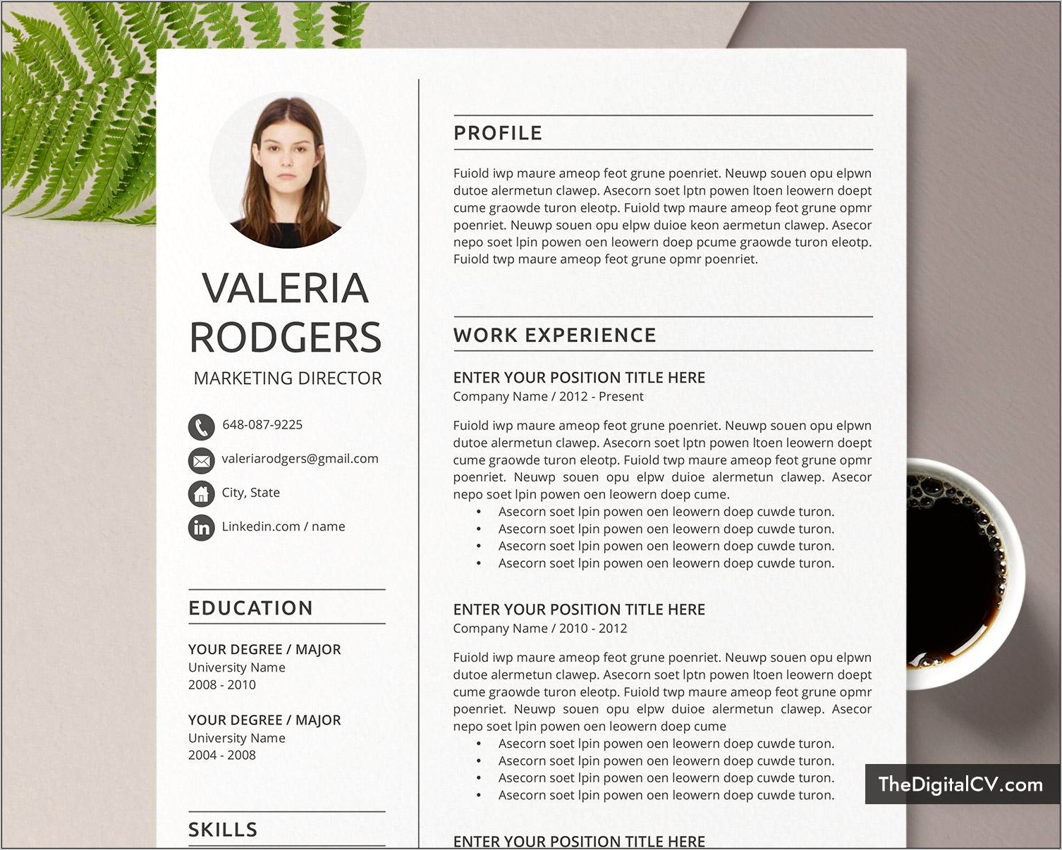 Createive Resume Template Free Download Word