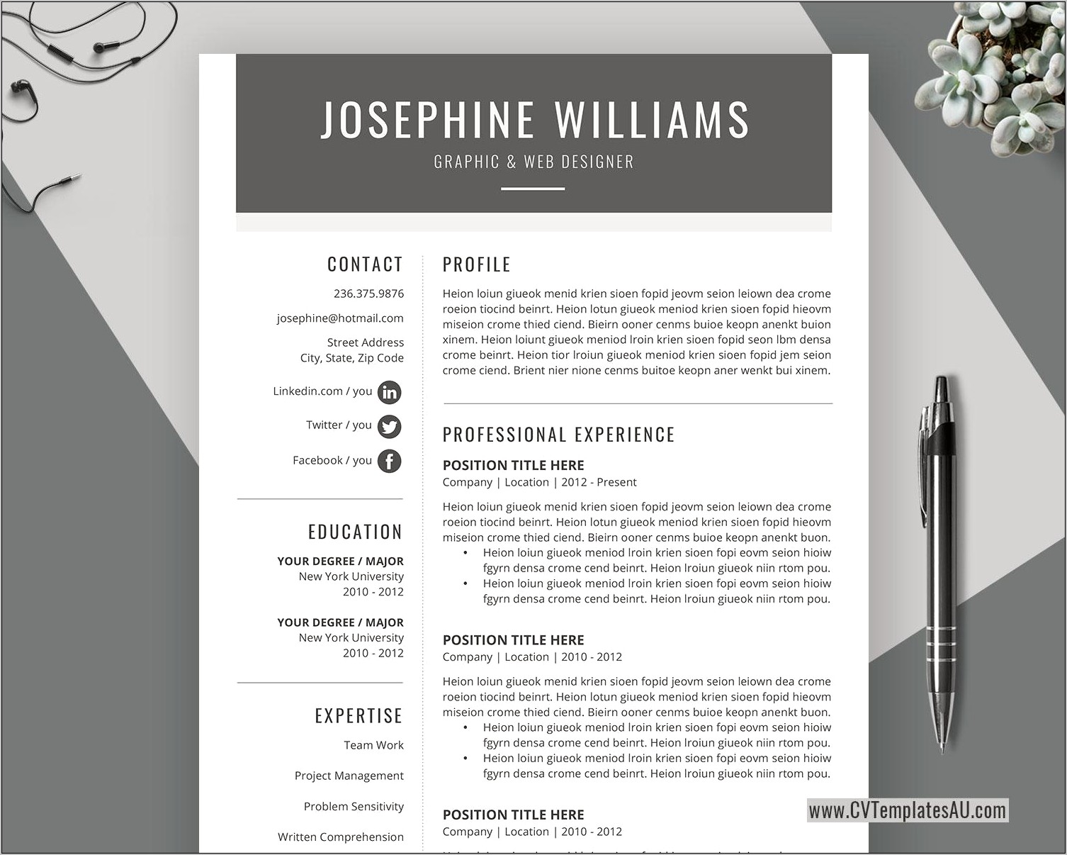Creative Resume Format Download In Ms Word