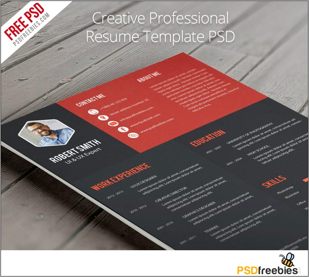 Creative Resume Templates For It Professionals