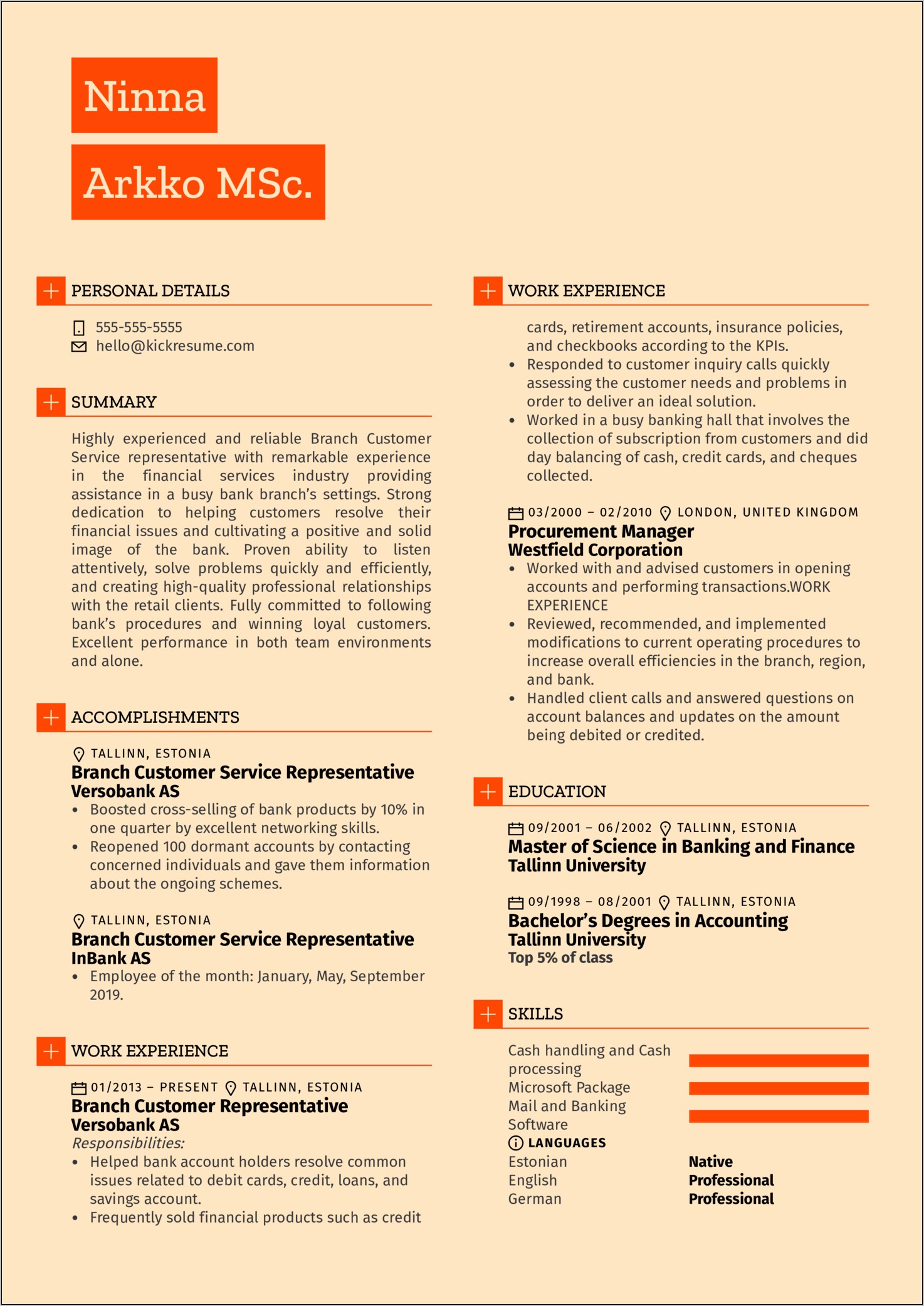 Customer Service Professional Resume Examples