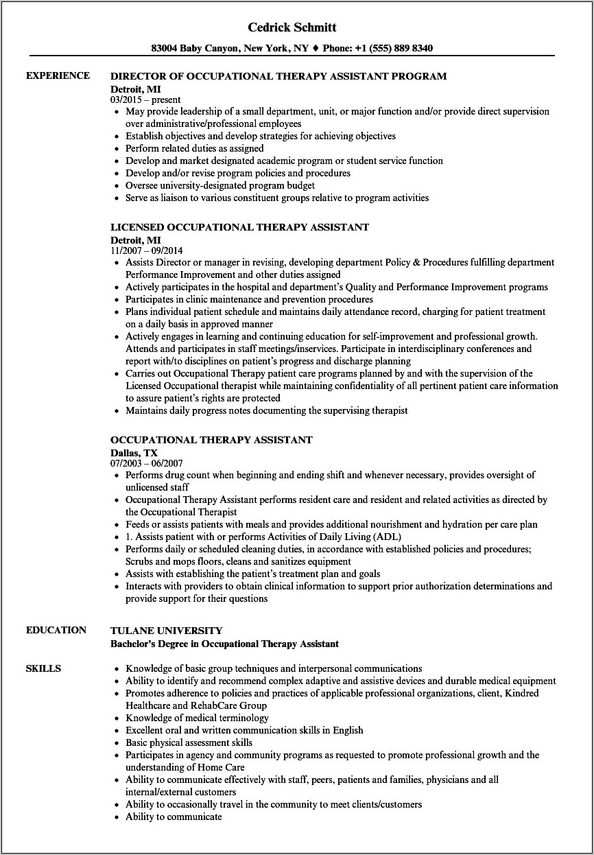Customer Services Skill Example Resume In Occupational Therapy