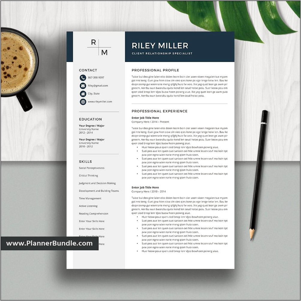 Cv Resume Templates For Word 2010