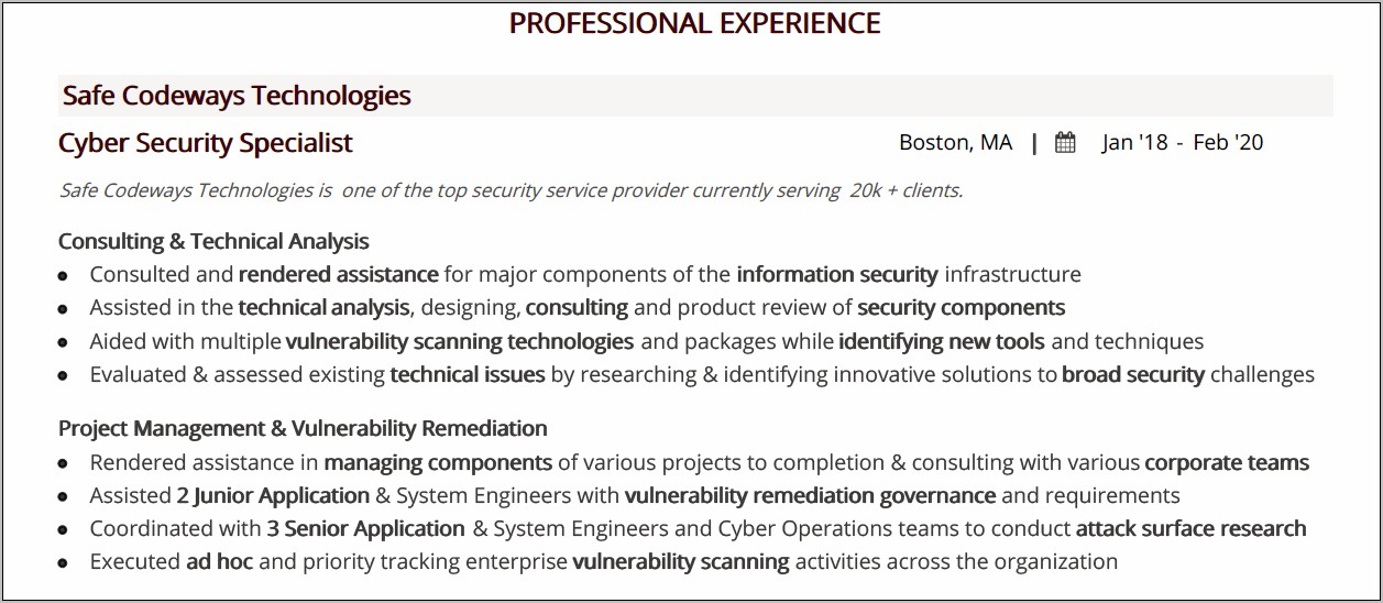 Cyber Security Expert Resume Summary Examples