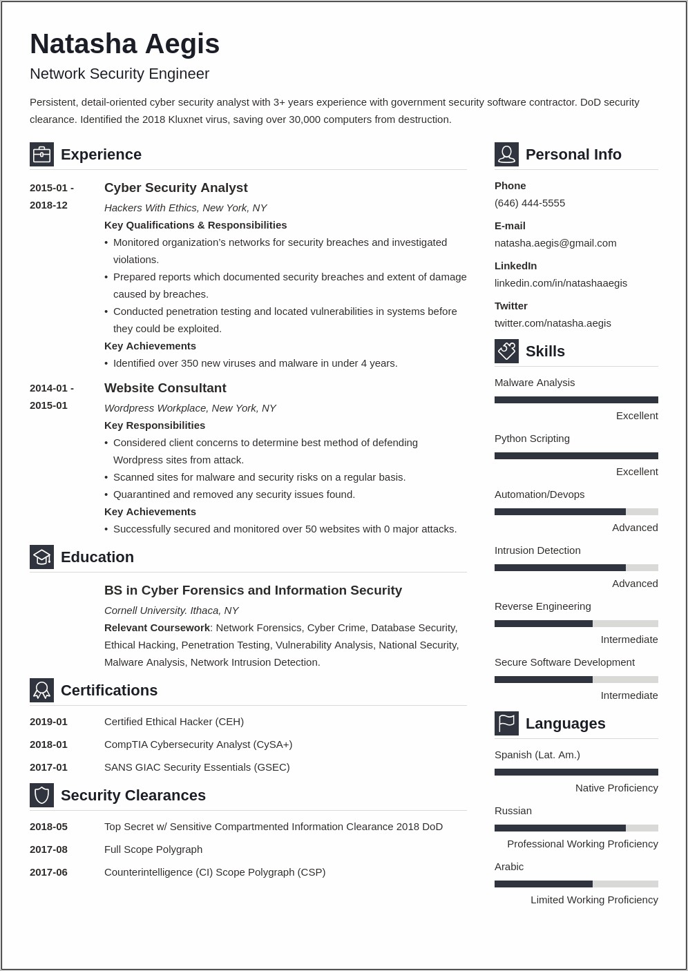 Cyber Security Resume Template No Experience