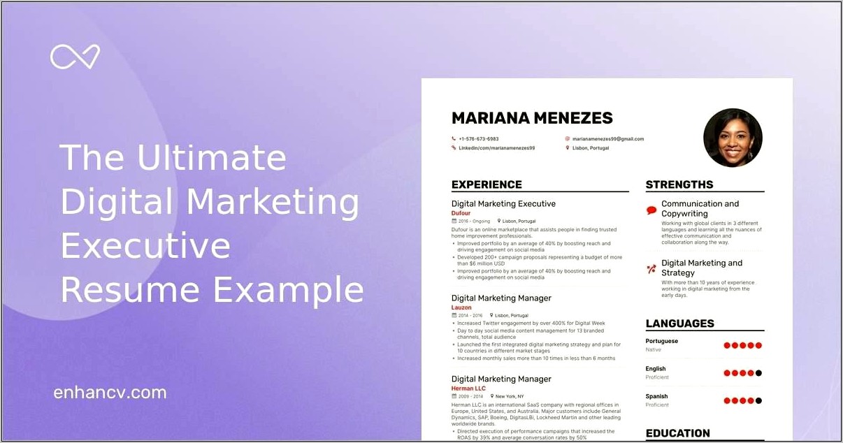 Digital Marketing Executive Resume Sample