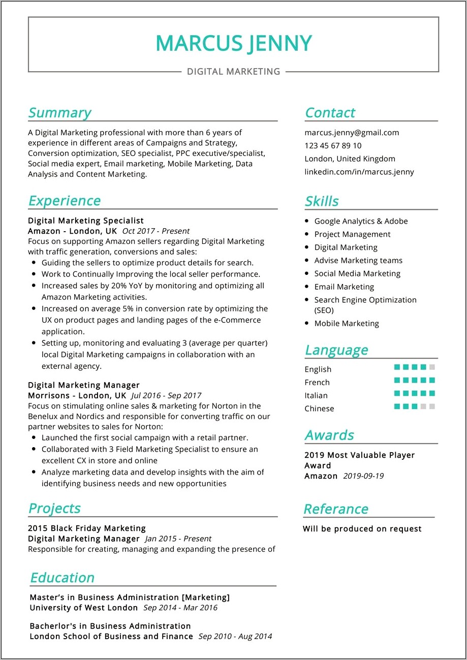 Digital Marketing Resume For 3 Years Experience