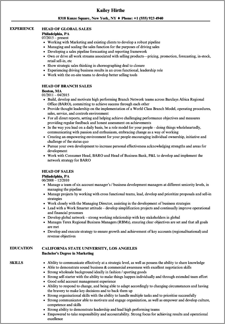 Director Of Sales Job Description For Resume