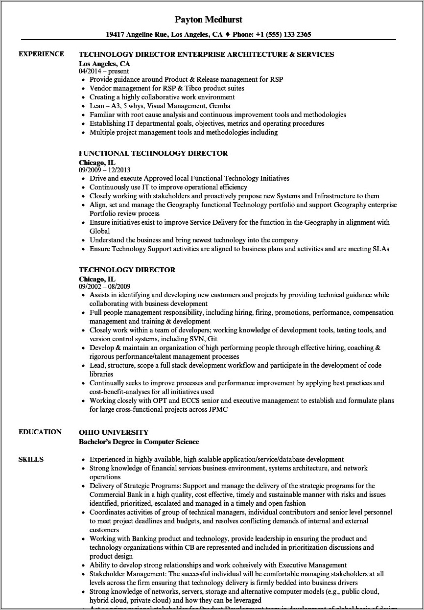 Director Of Technology Resume Samples