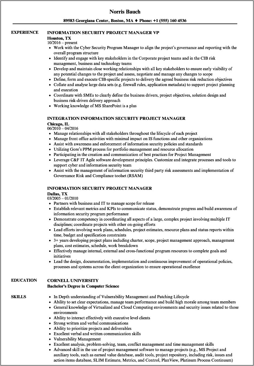 Disaster Recovery Project Manager Resume