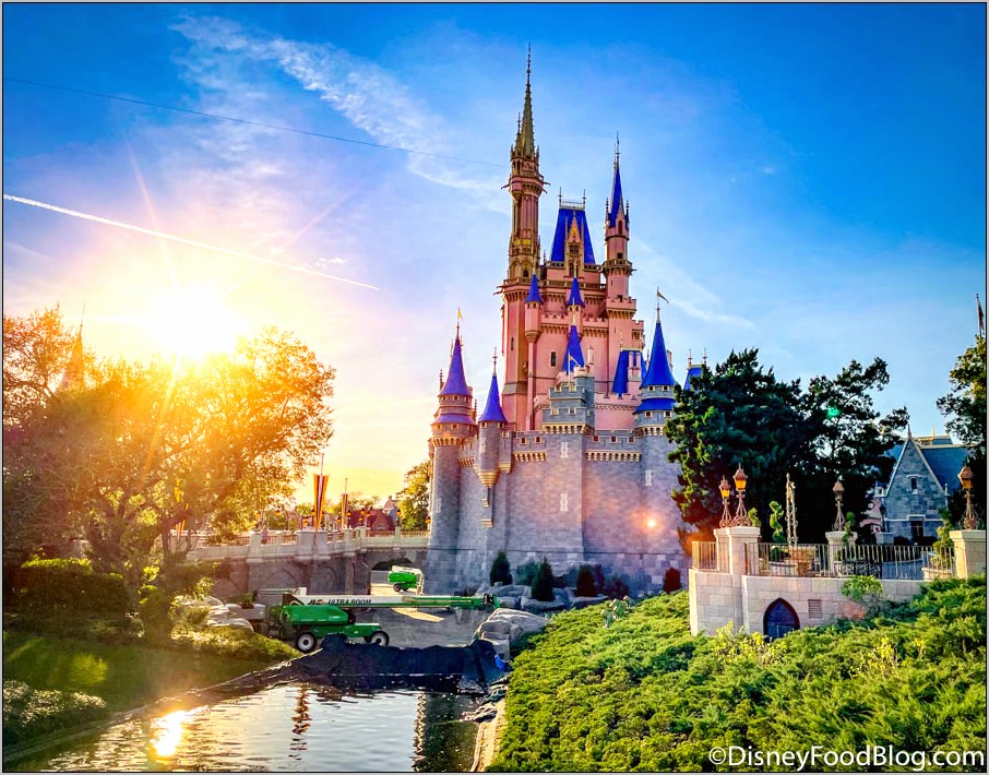 Disney World Phone Number To Put On Resumes