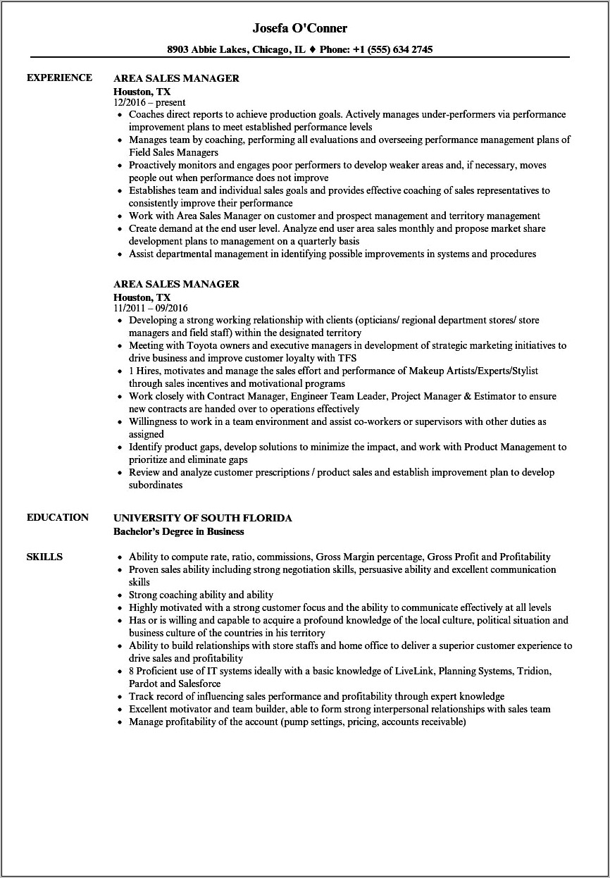 District Sales Manager Resume Template