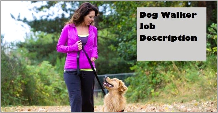 Documenting Wag Dog Walking Experience On Resume