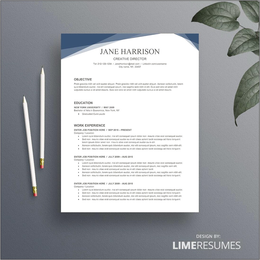 Download Free Creative Resume Templates For Word