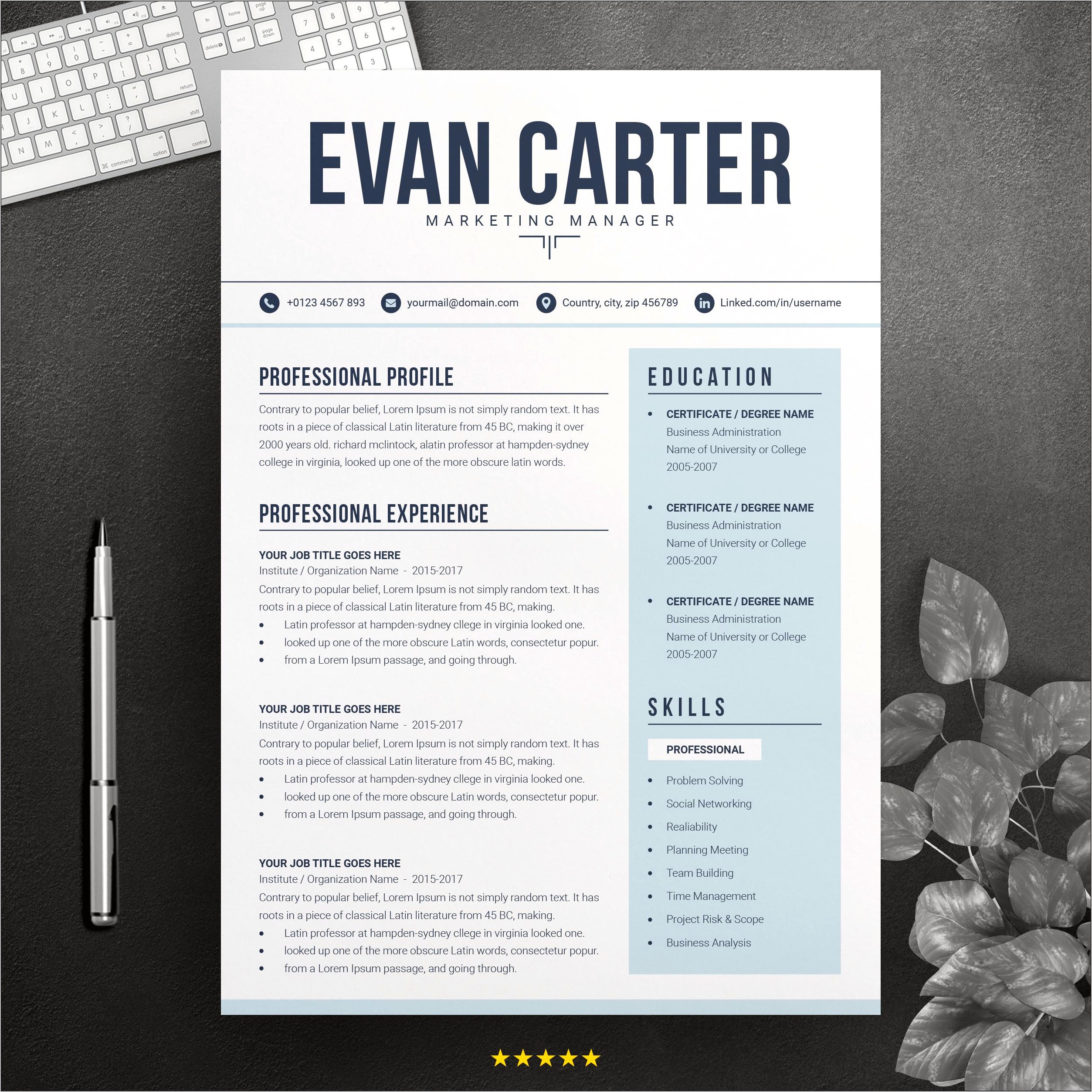 Easy To Read Plain Text Resumes Templates