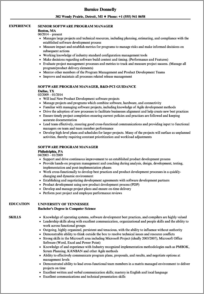 Embedded Software Manager Resume Example