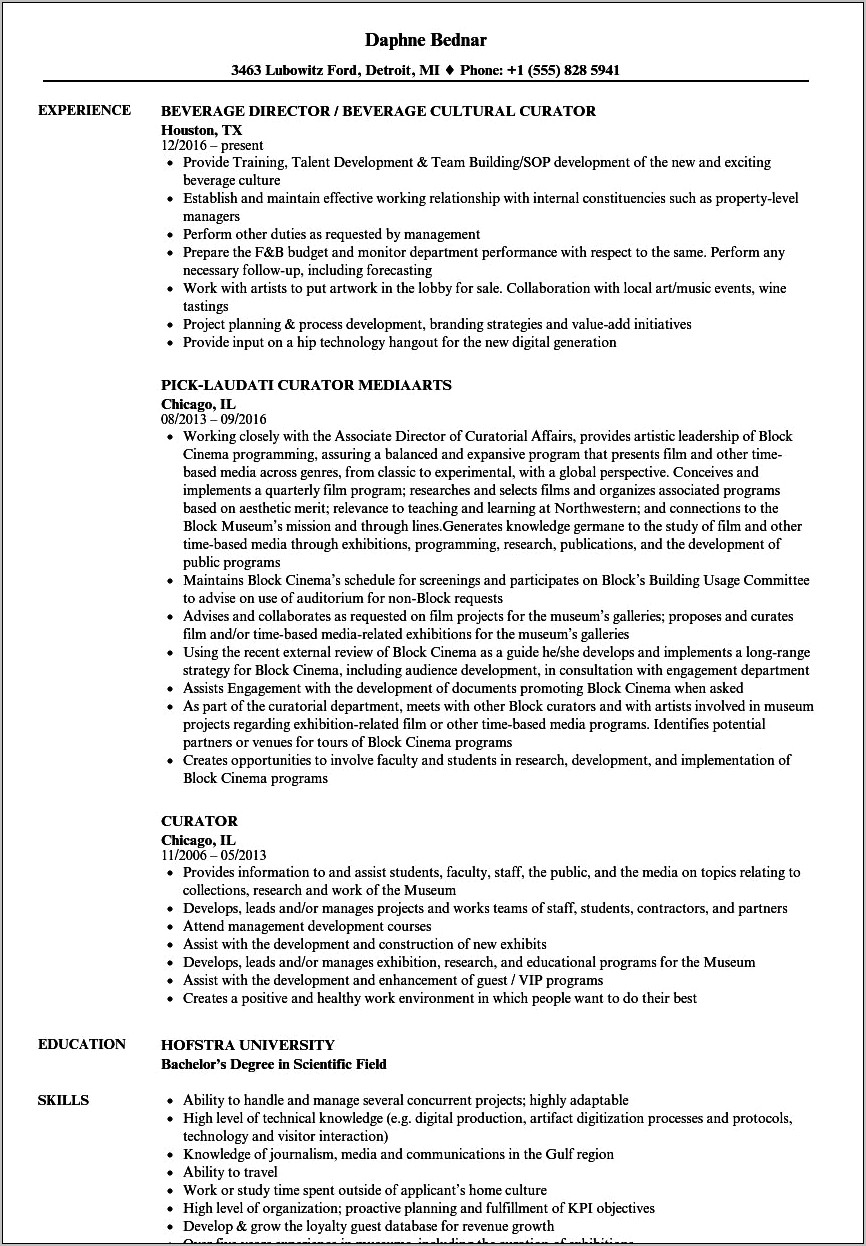 Emerging Museum Professional And Resume Sample