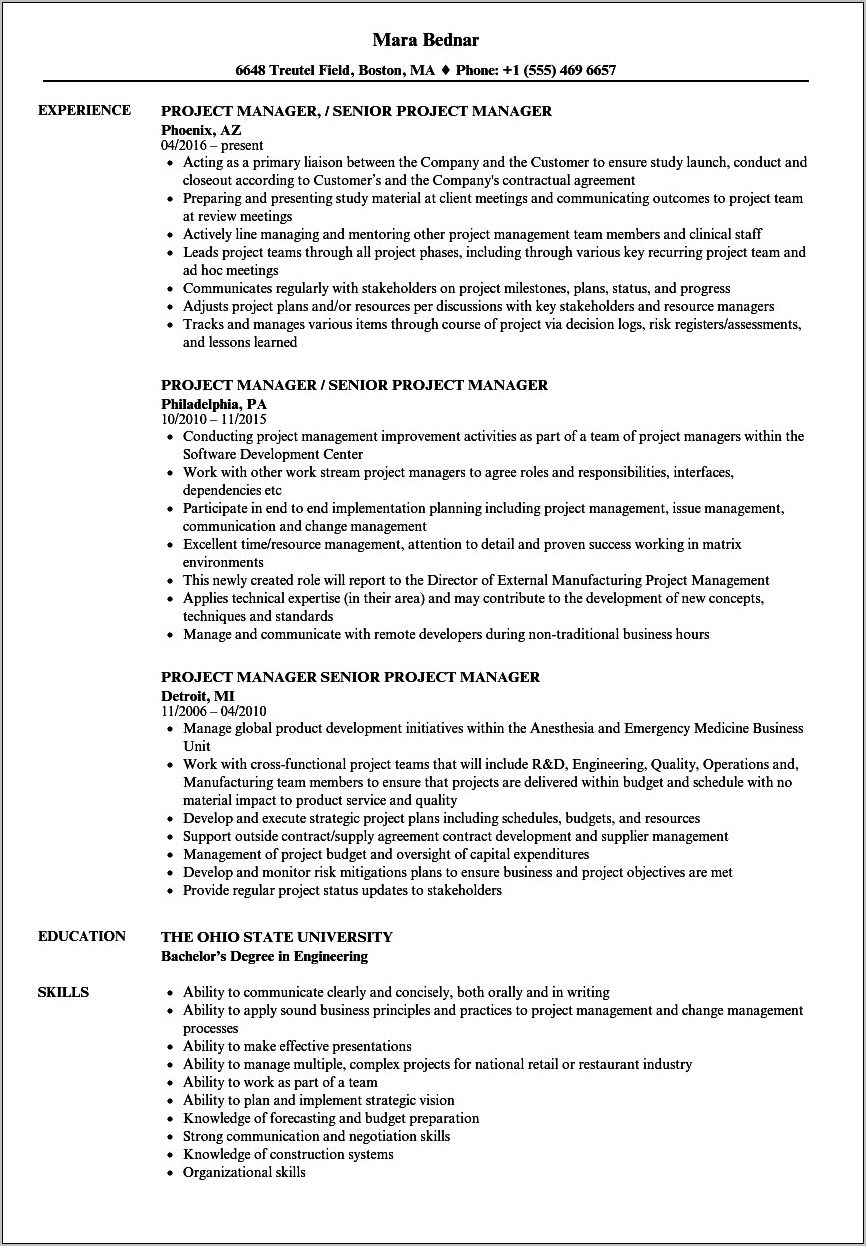 Enterprise It Project Manager Sample Resume