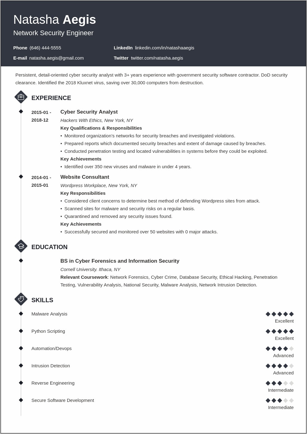 Entry Level Cyber Security Resume Summary