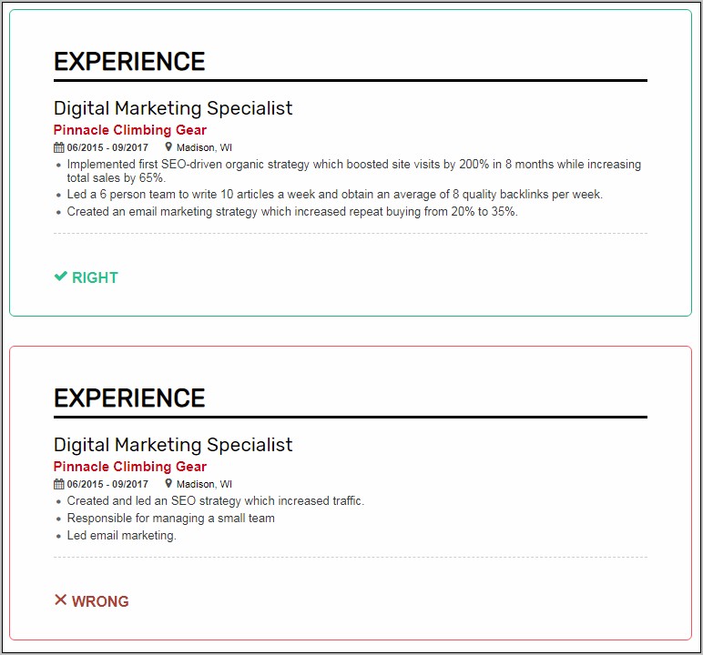 Entry Level Digital Marketing Resume No Experience