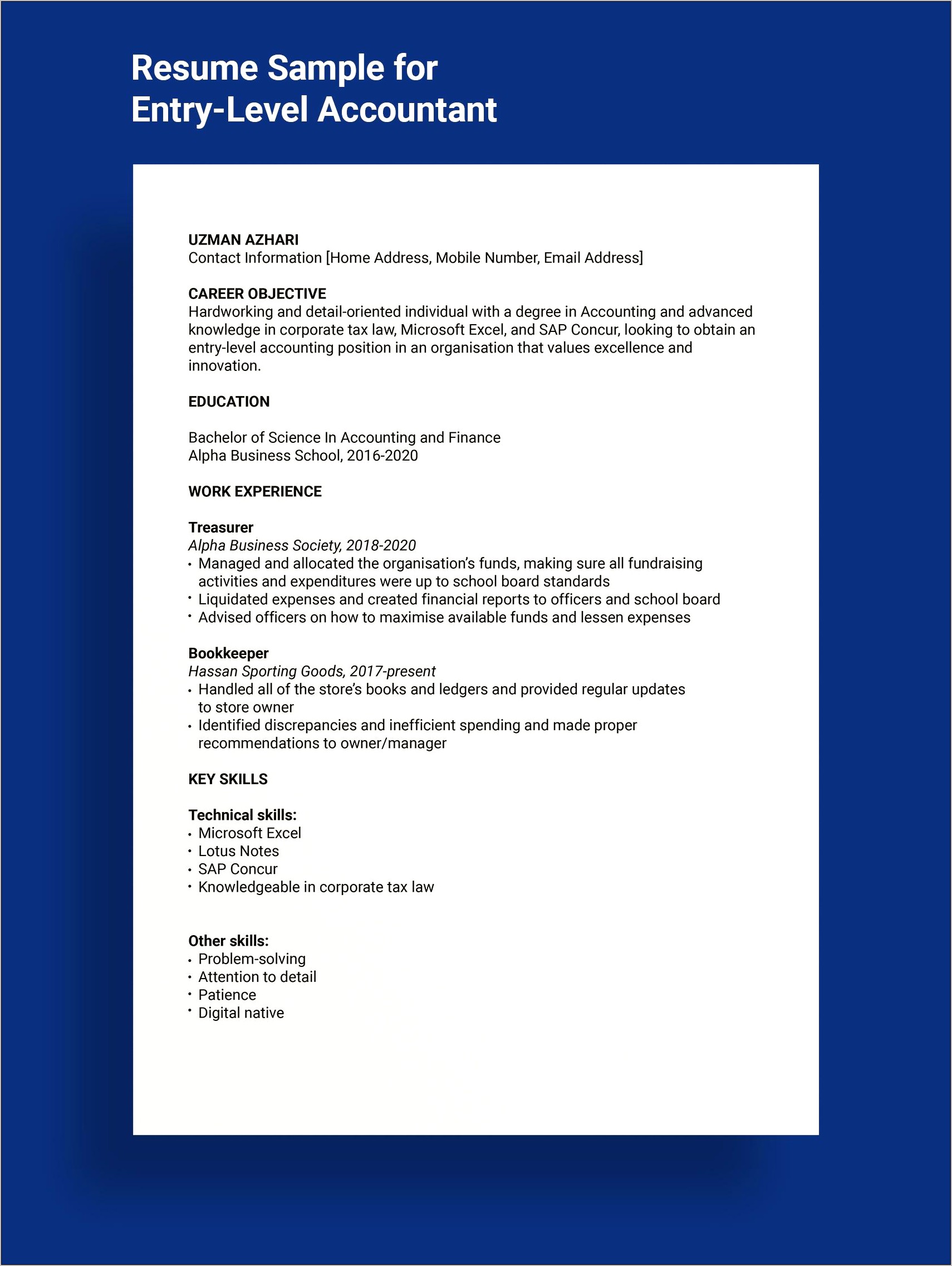 Entry Level Finance Resume Examples