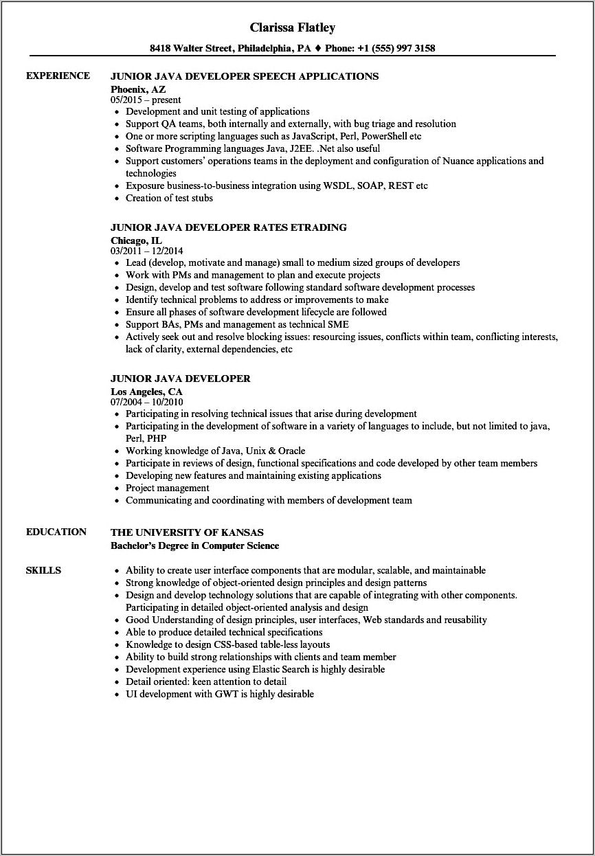 Entry Level Java Developer Resume With No Experience