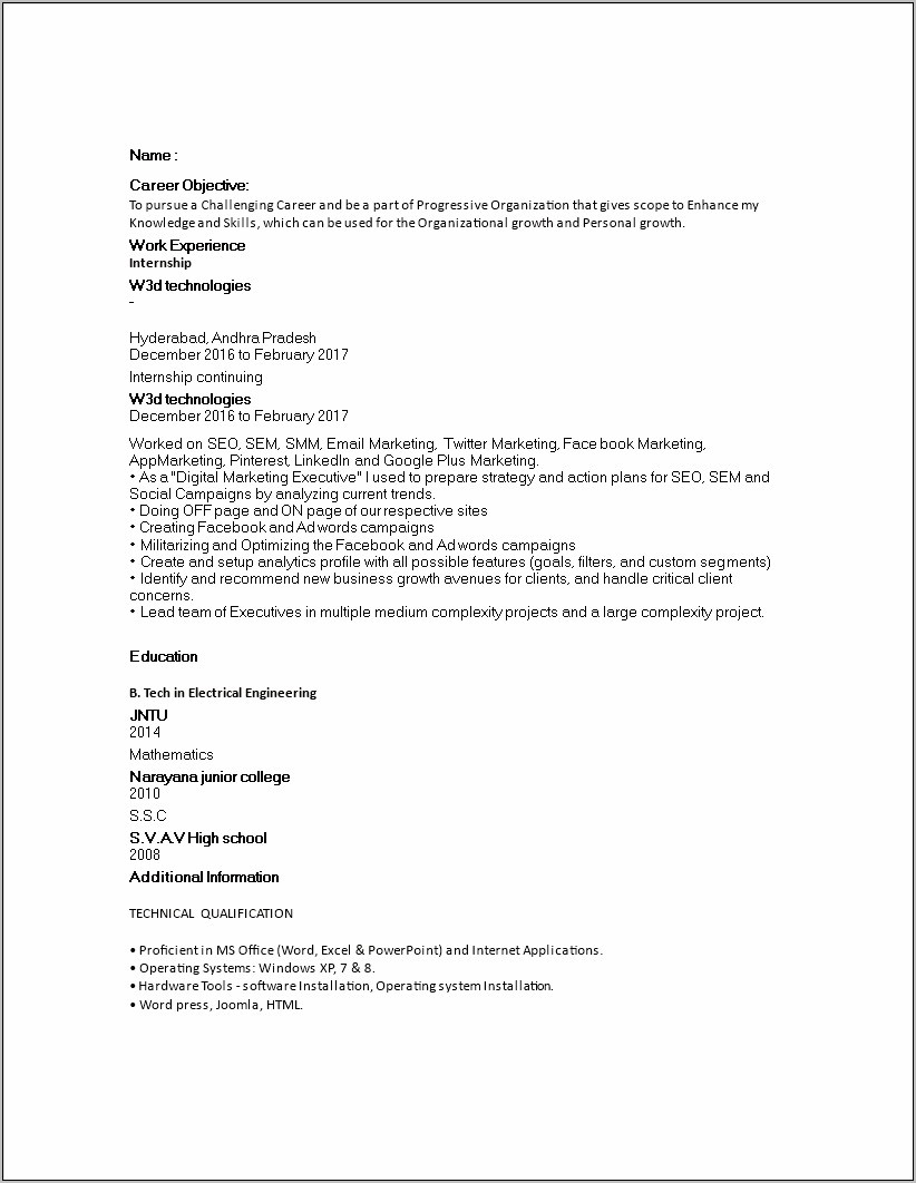 Entry Level Resume Template Microsoft Word