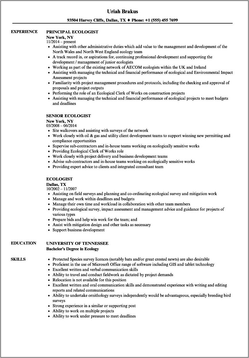 Environmental Consultant Job Description For Resume