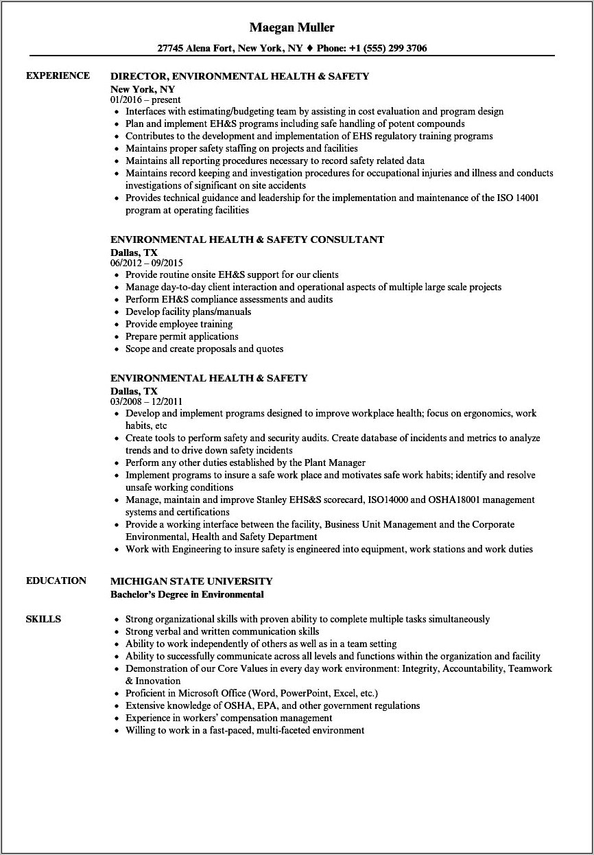 Environmental Health And Safety Personal Summary On Resume