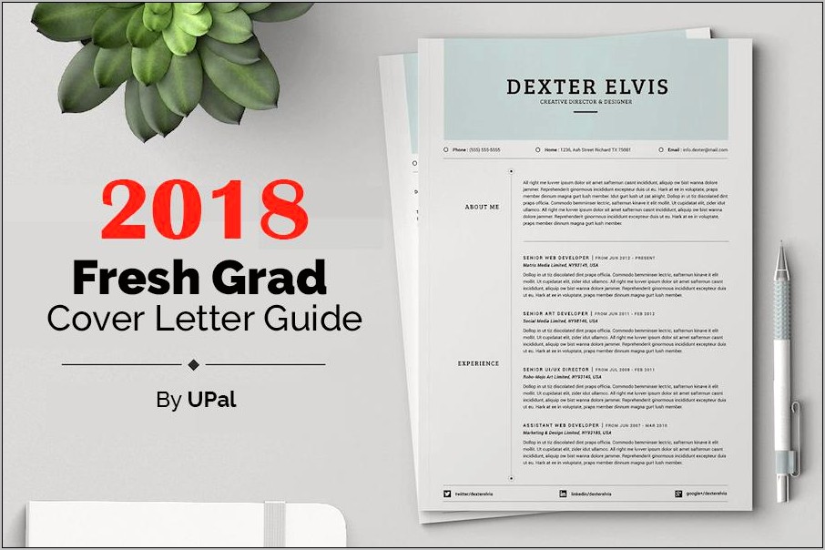 Example Cover Letter For Resume Fresh Graduate