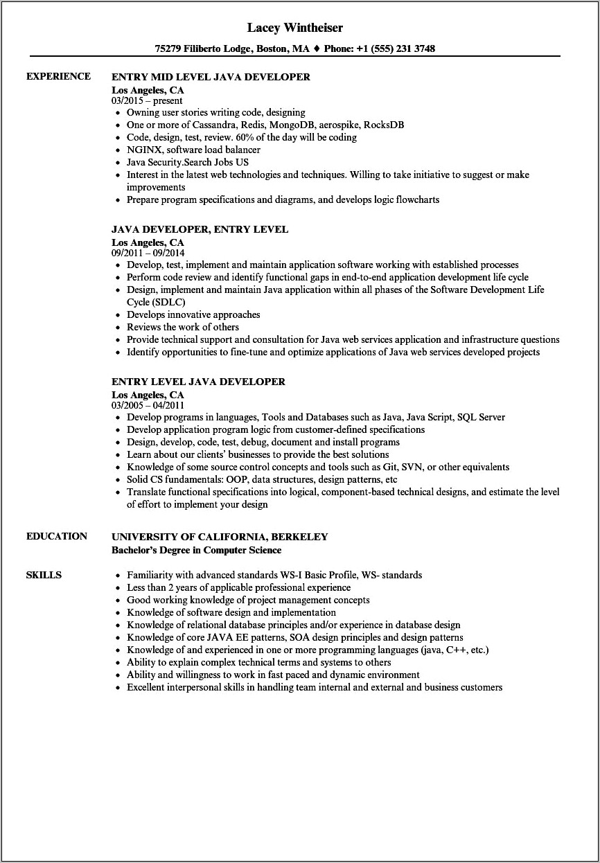 Example Entry Level Programming Resume