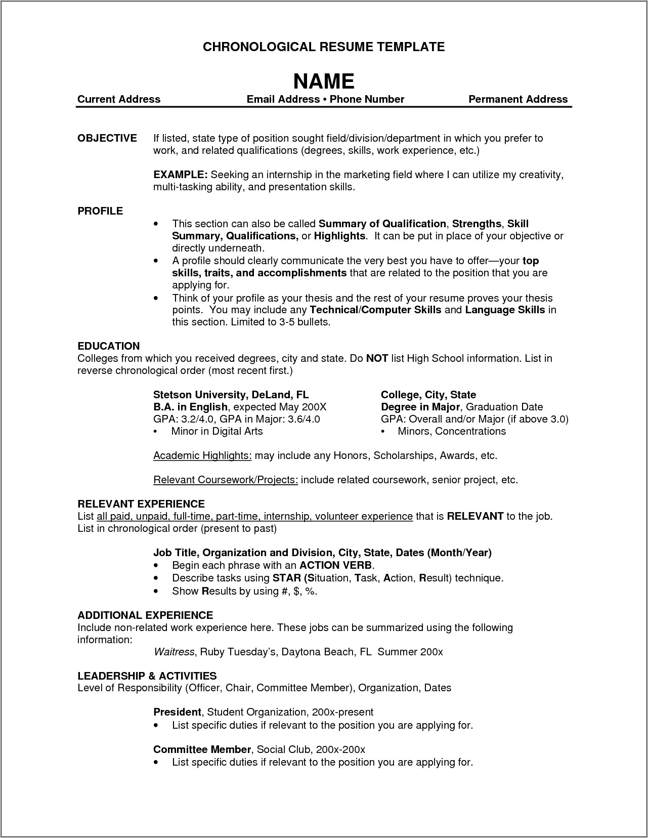 Example Federal Government Resume Template