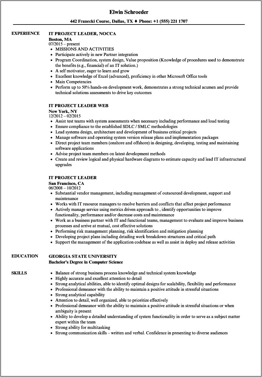 Example It Project Lead Resume