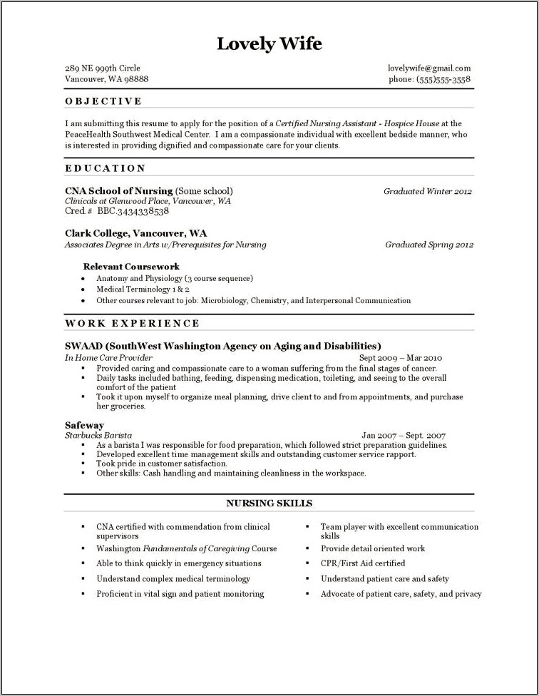 Example Objective For Nursing Hospice Resume