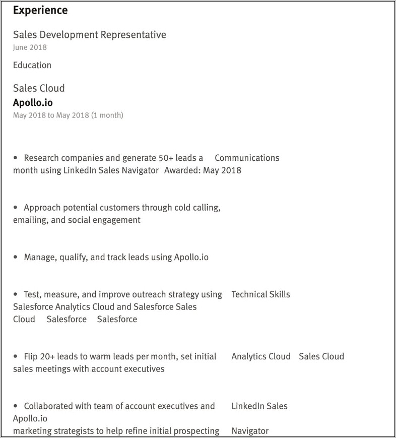Example Of A Good Ats Resume Format