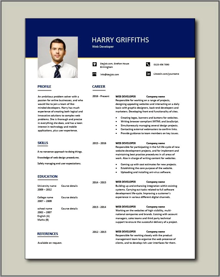 Example Of A Good Web Developer Resume