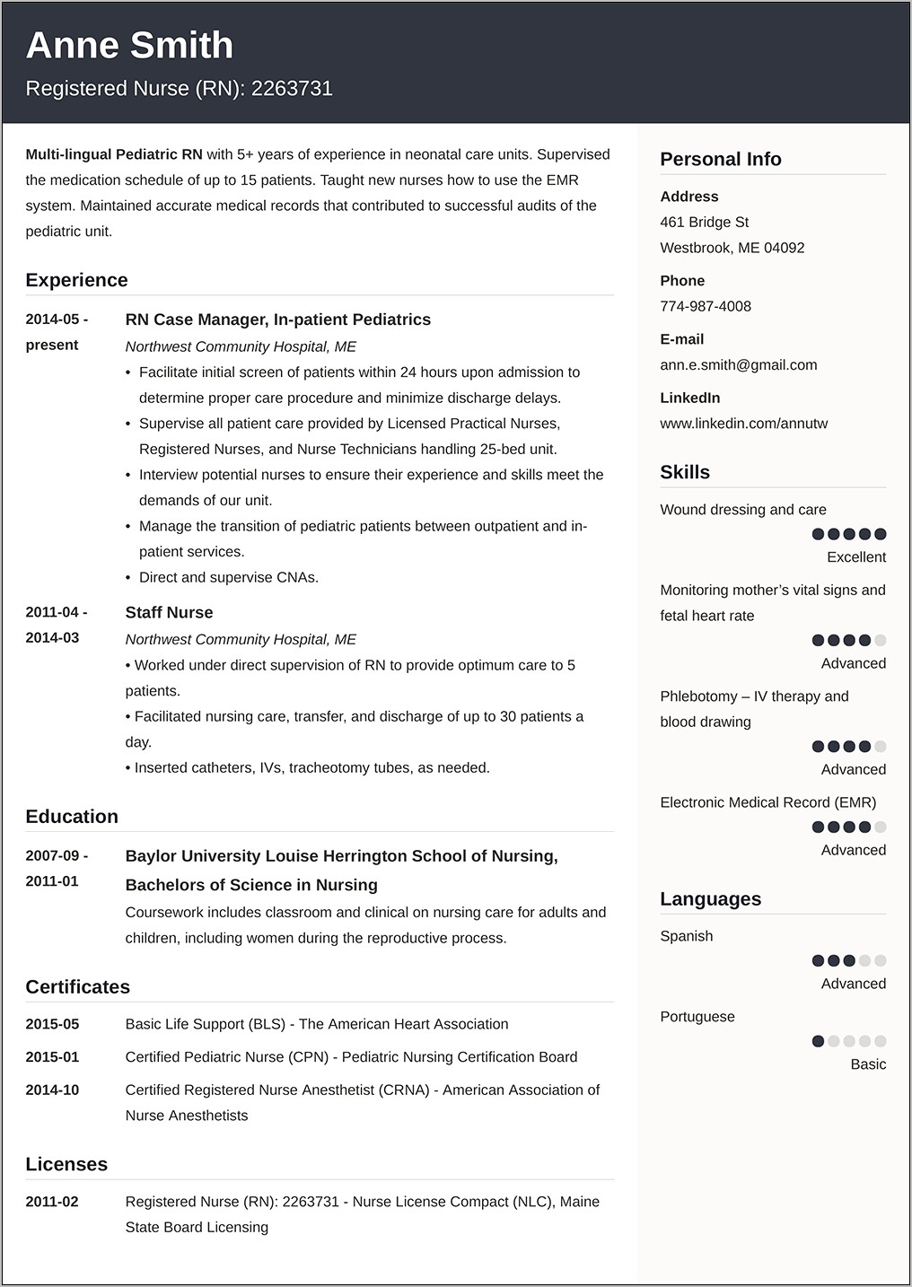 Example Of A Simple Professional Resume