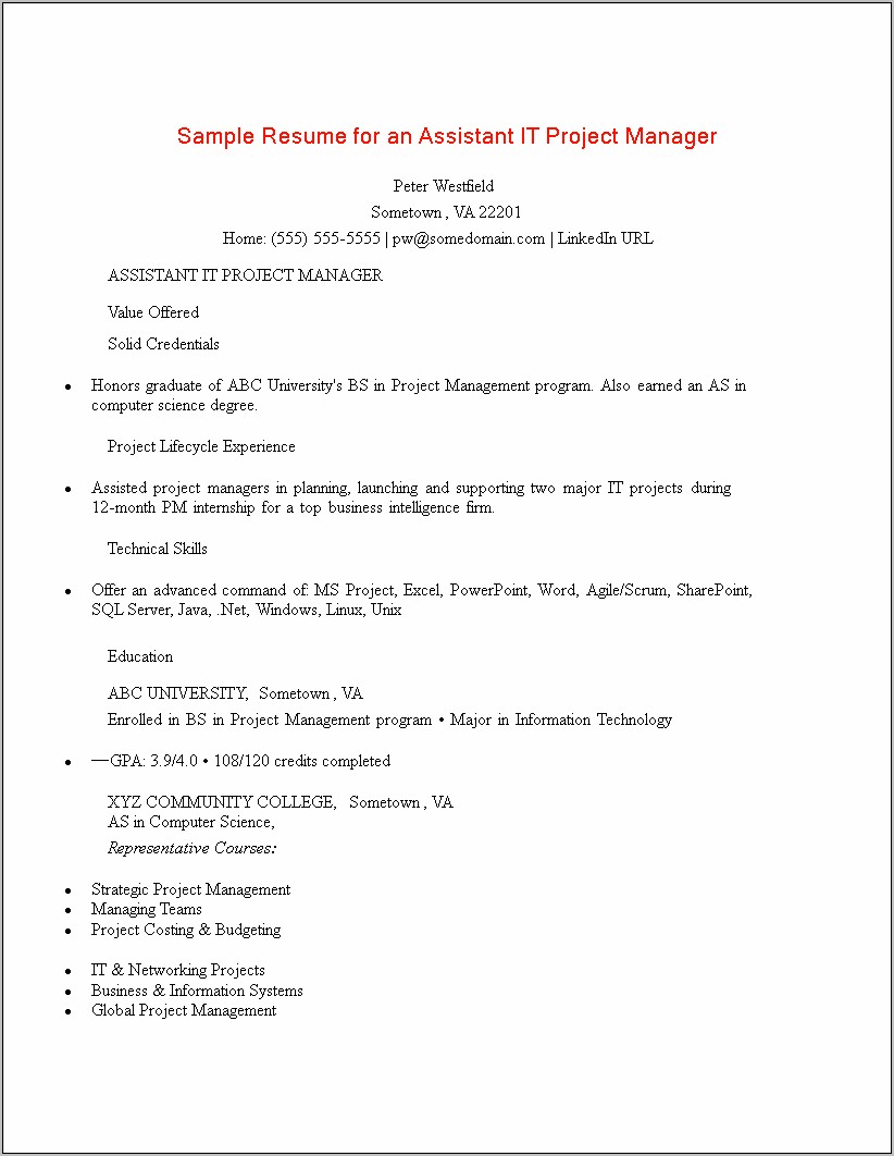 Example Of A Startup Company Project Manager Resume